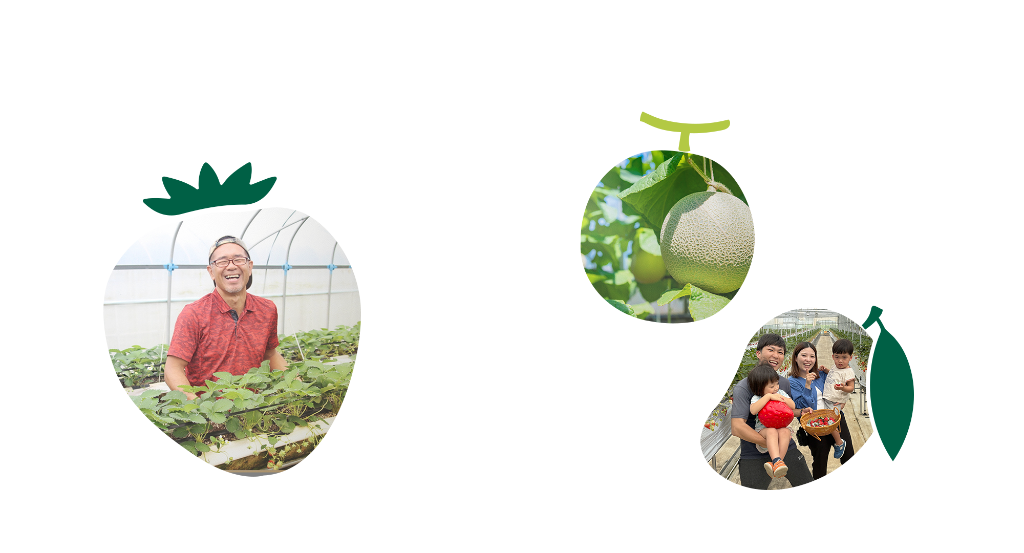 あまいの大好き!農園 宮古島の太陽と丁寧な手仕事が生んだ、本物の甘さ！甘党の園長が、本気で甘さにこだわりました。