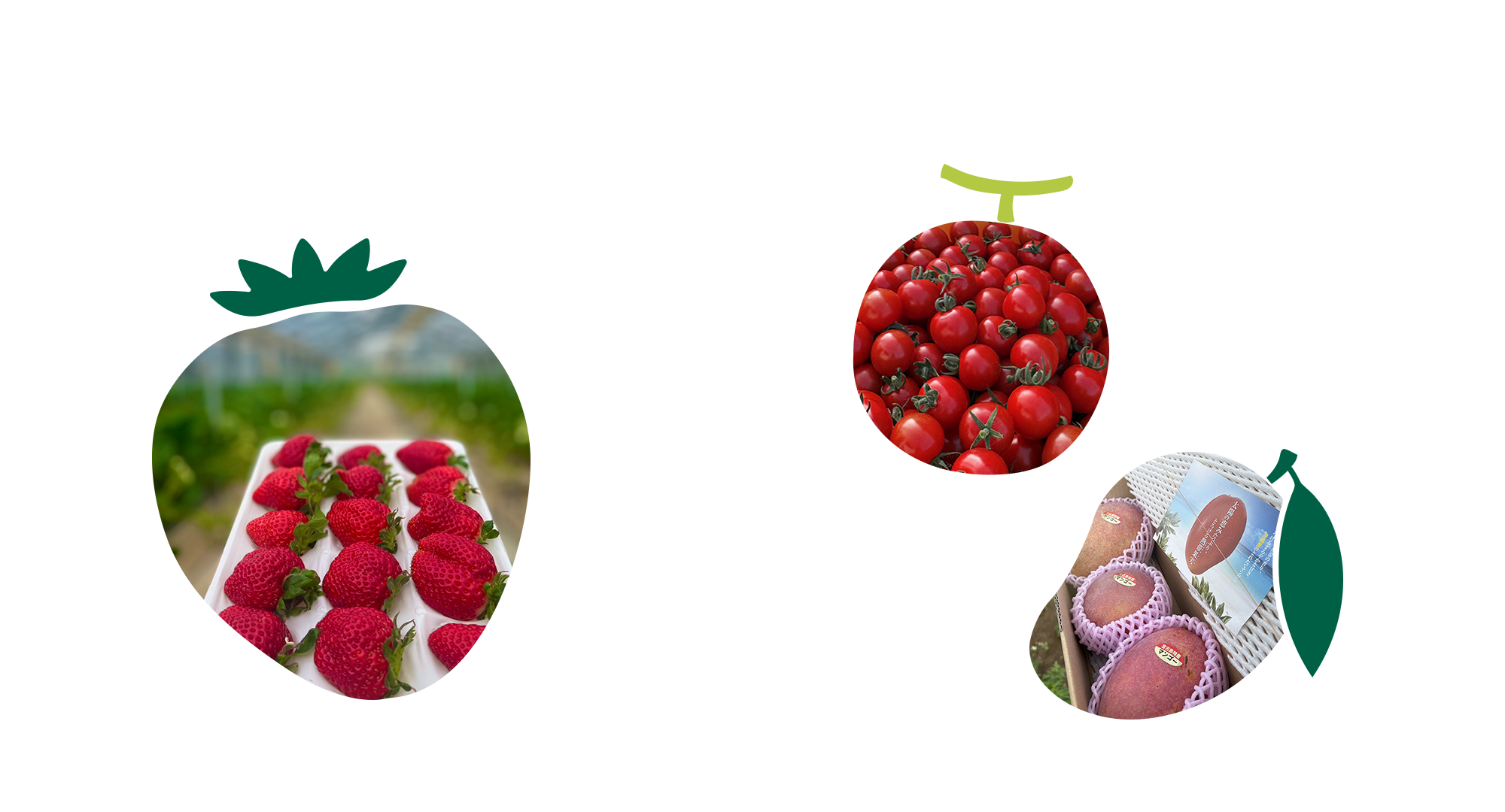 あまいの大好き!農園 宮古島の太陽と丁寧な手仕事が生んだ、本物の甘さ！甘党の園長が、本気で甘さにこだわりました。