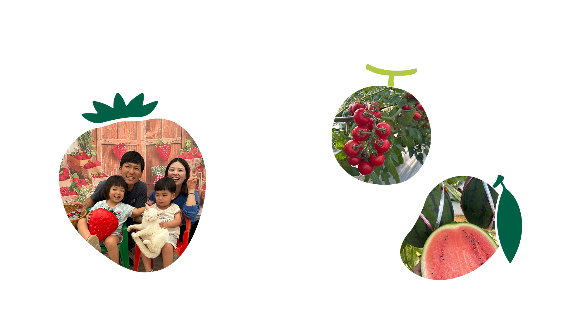 あまいの大好き!農園 宮古島の太陽と丁寧な手仕事が生んだ、本物の甘さ！甘党の園長が、本気で甘さにこだわりました。